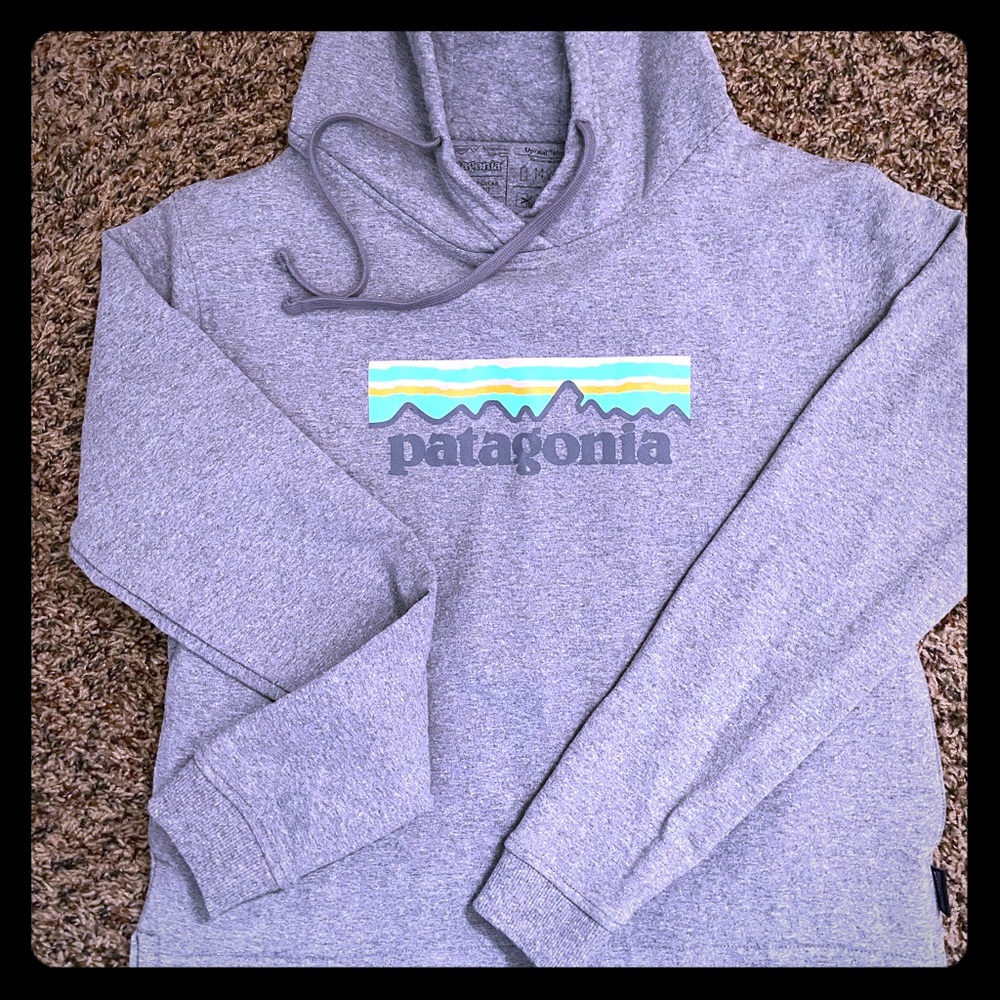 Patagonia hoodie